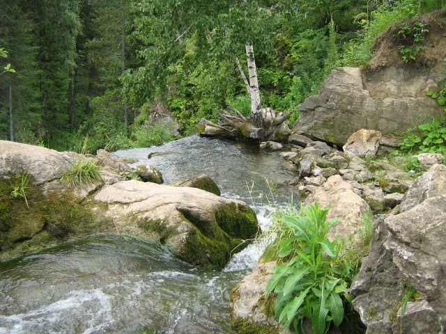 IMG_1050.JPG