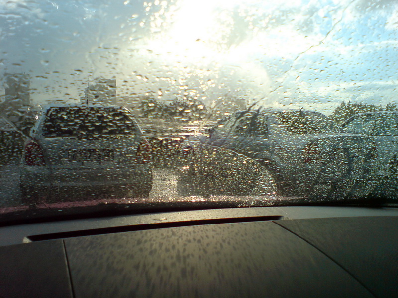 DSC01229_resize.JPG