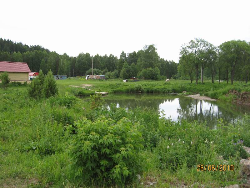 IMG_4467.jpg