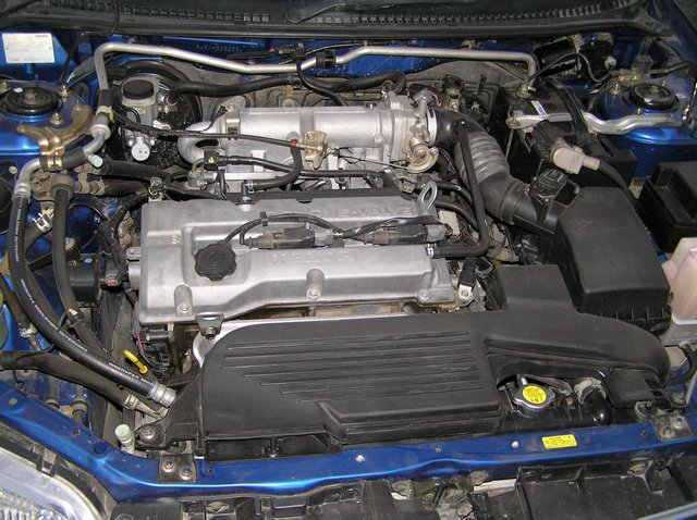 P9011854.jpg