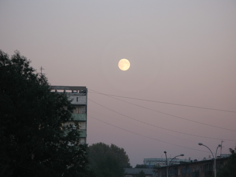 IMG_3675_resize.JPG