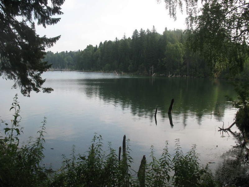 IMG_6774.JPG