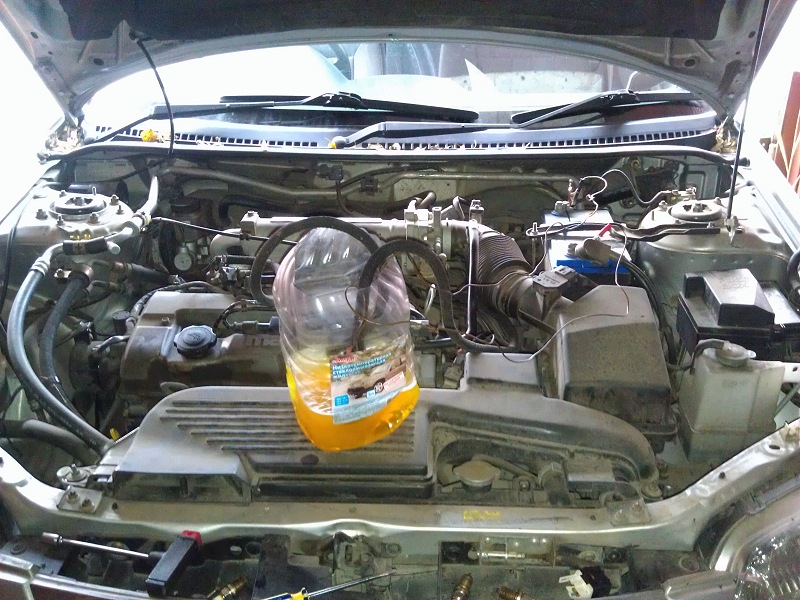 IMAG0818.jpg