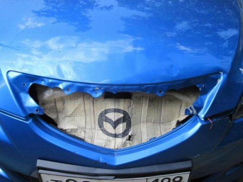 morning_picdump_71_640_44.jpg